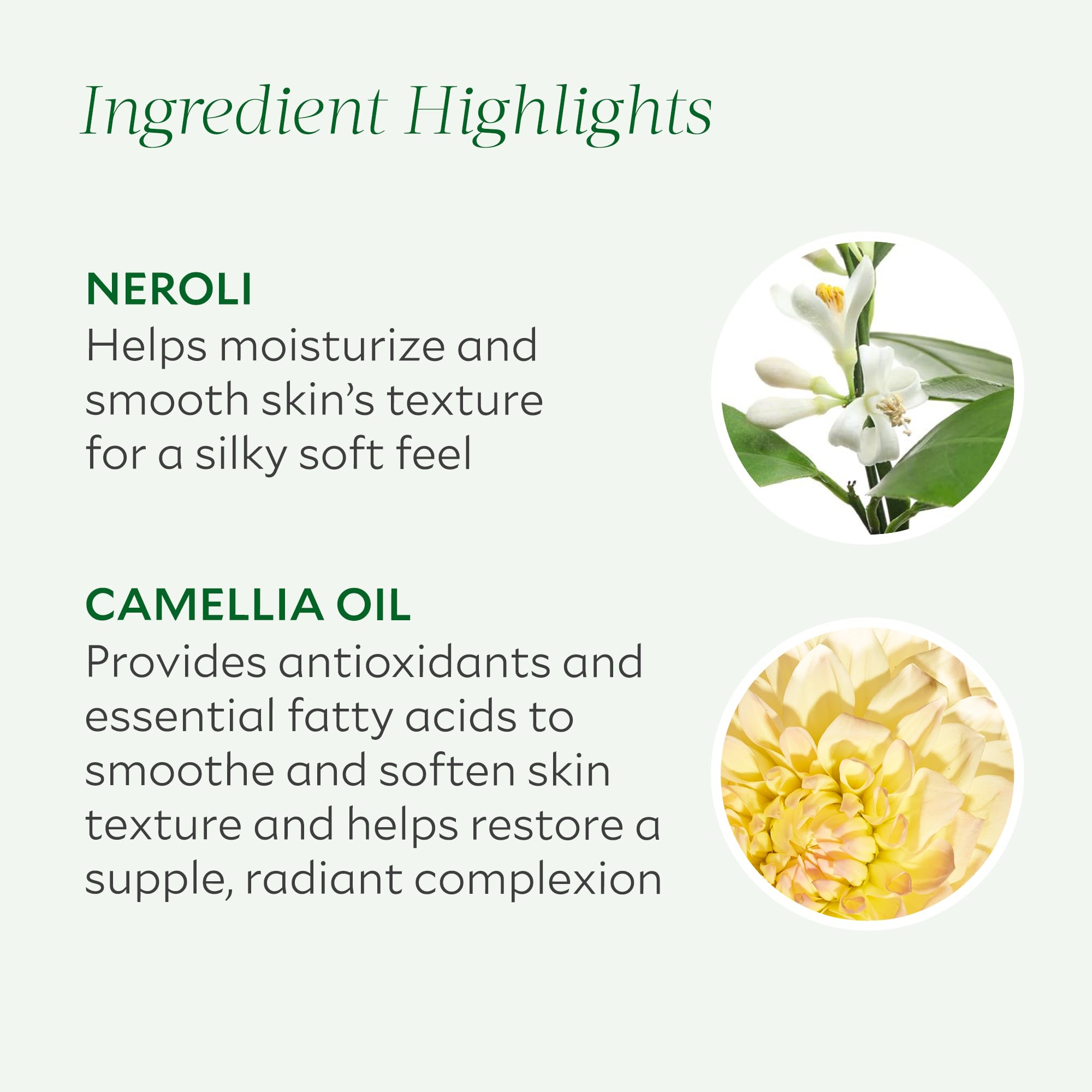 Tata Harper Revitalizing Body Oil, Moisturizing & Nourishing Body Oil, Natural Skincare, Natural Body Care, 315 ml