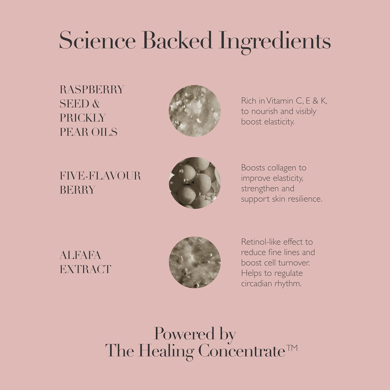 Omorovicza Queen Oil (1.0 oz), Rich Facial Oil with Omega 3 & 6, Vitamin-Rich Botanicals, Skin Oil to Nourish, Boost Collagen & Strengthen Skin Barrier