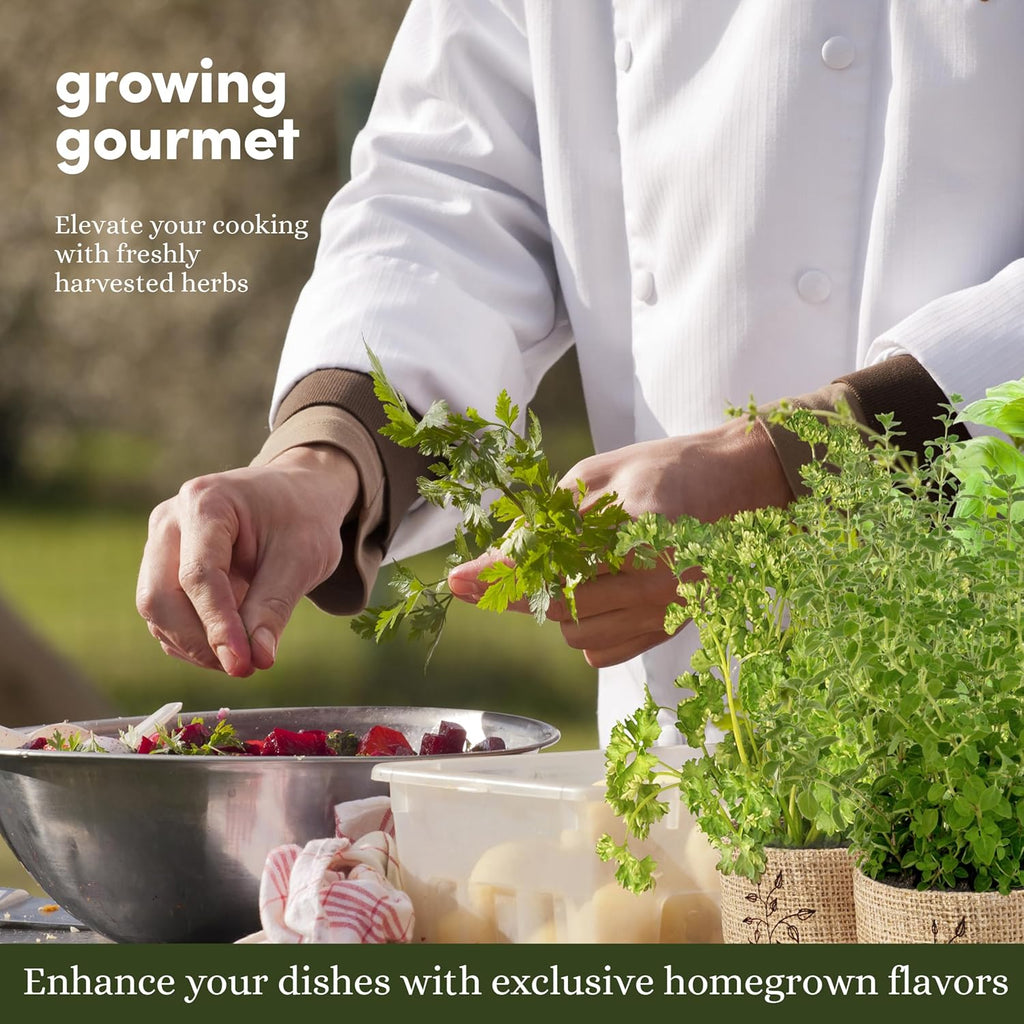 Planters' Choice 9 Herb Indoor Window Garden Kit - House Plants Seeds - Best Unique Christmas Gift Ideas for Women, Mom, Friend, Her, Birthday, Housewarming, Mother - New Home Kitchen Gifts